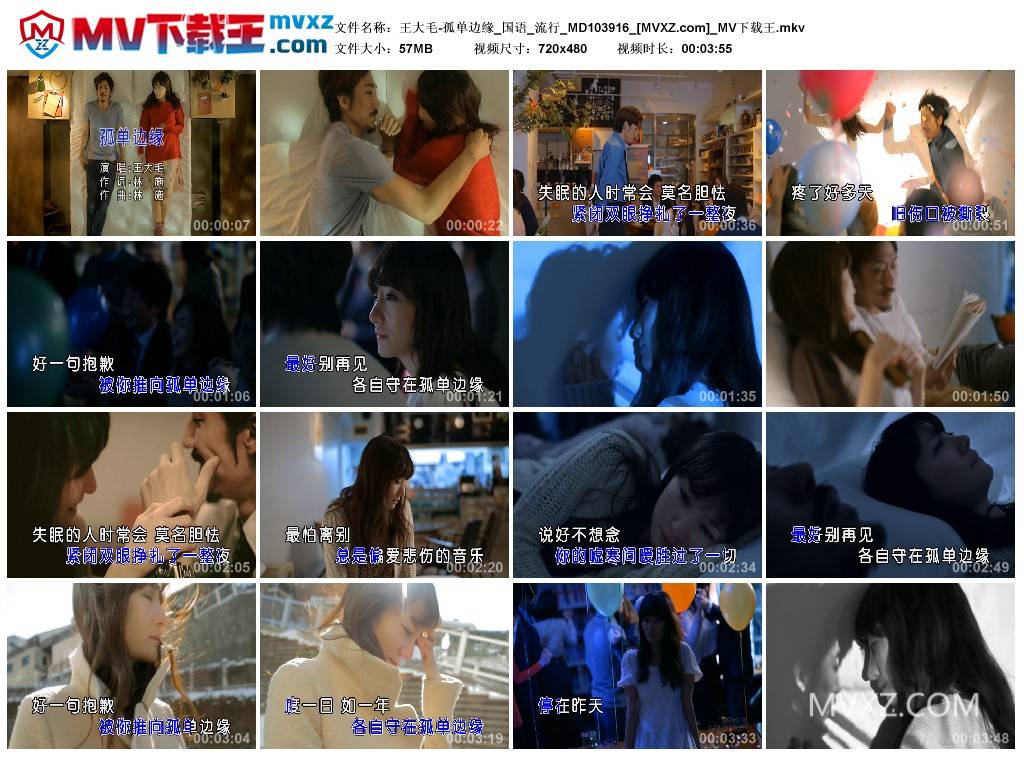 王大毛-孤单边缘_国语_流行_MD103916